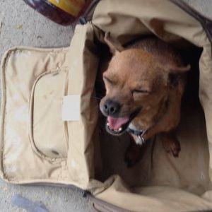 Meet your Posher, Aaron